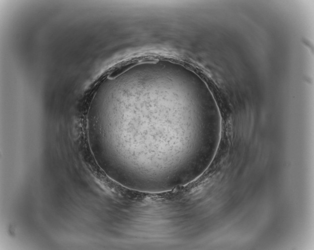 X0000095891496200801111144