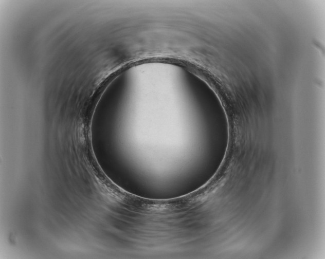 X0000095891497200801111144