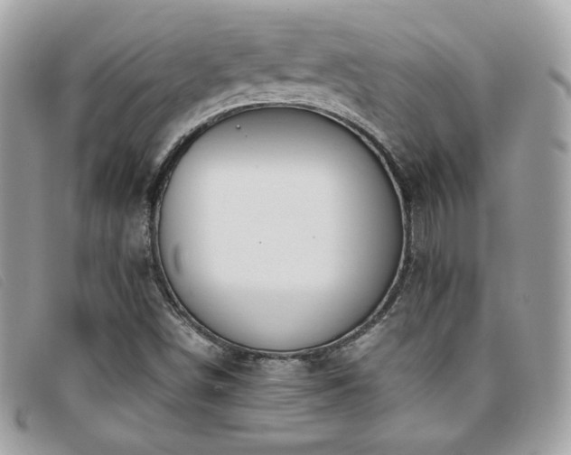X0000095891498200801111144