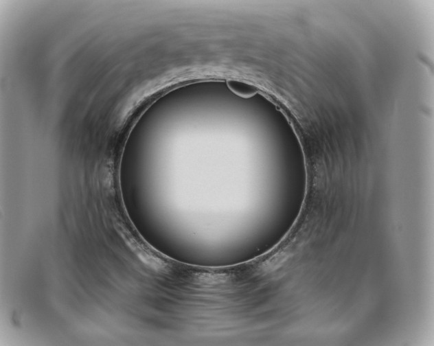 X0000095891499200801111144