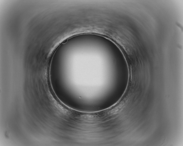 X0000095891500200801111144