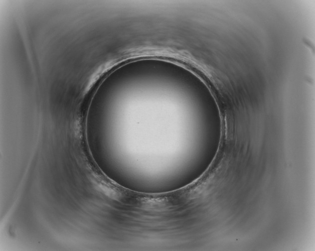 X0000095891501200801111144