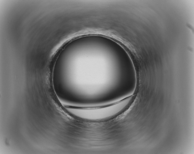 X0000095891502200801111144