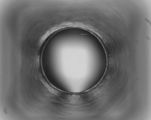 X0000095891503200801111144