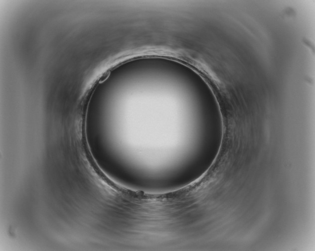 X0000095891504200801111144