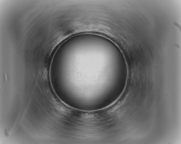 X0000095891505200801111144