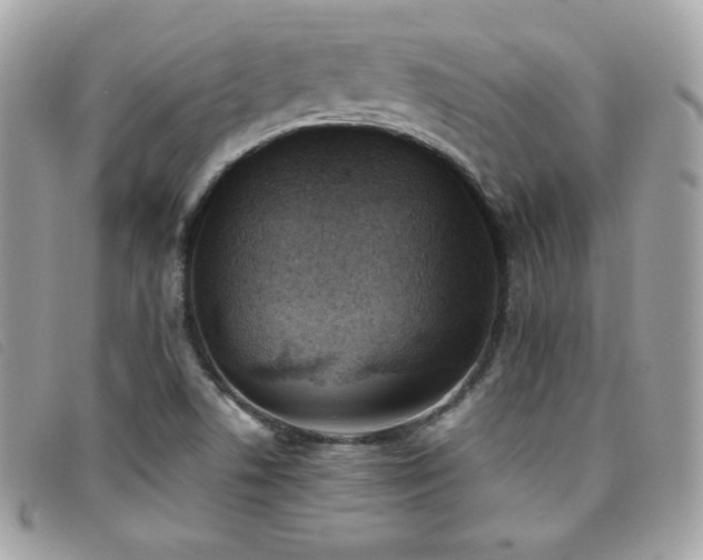 X0000095891506200801111144