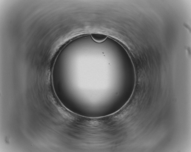 X0000095891507200801111144