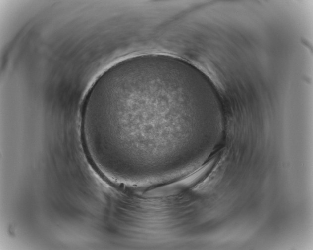 X0000095891508200801111144