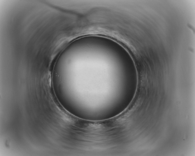 X0000095891509200801111144