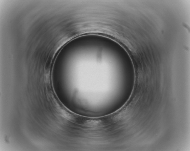 X0000095891513200801111144