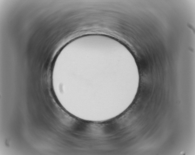 X0000095891514200801111144