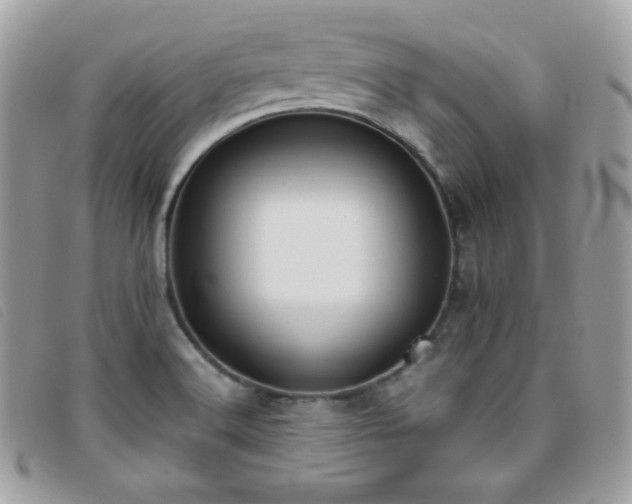 X0000095891516200801111144