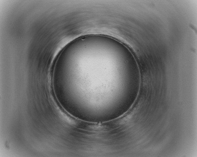 X0000095891517200801111144
