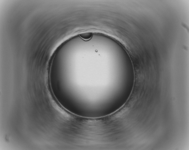 X0000095891518200801111144