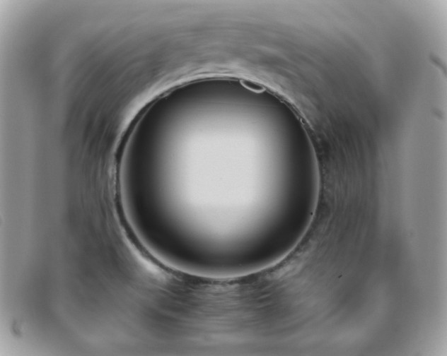 X0000095891519200801111144