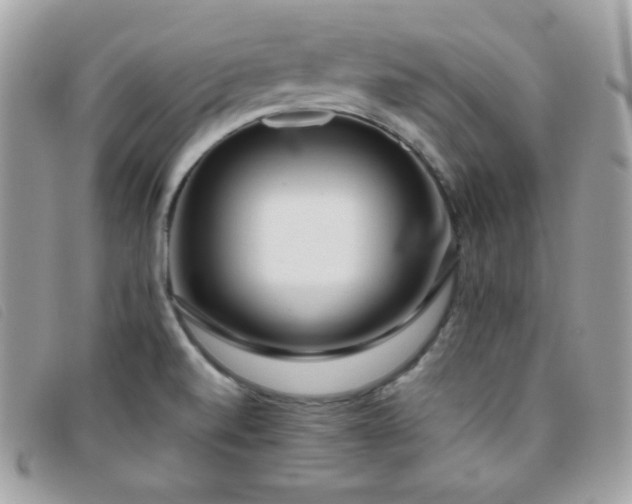 X0000095891520200801111144