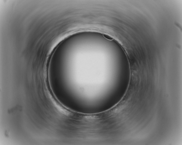 X0000095891523200801111144