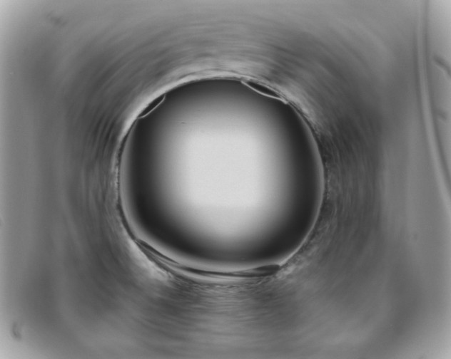 X0000095891524200801111144