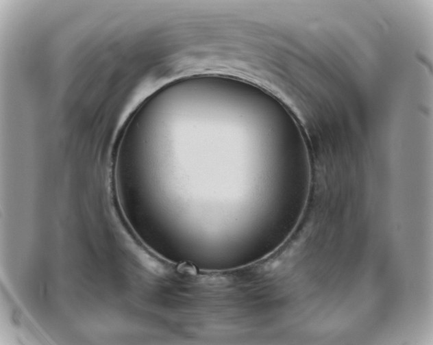 X0000095891525200801111144
