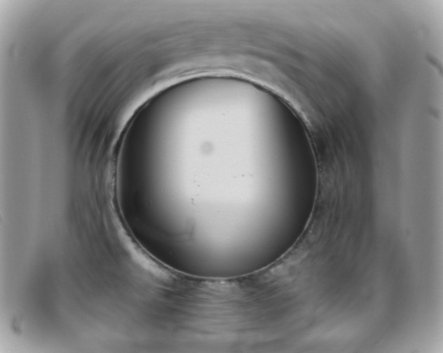X0000095891526200801111144