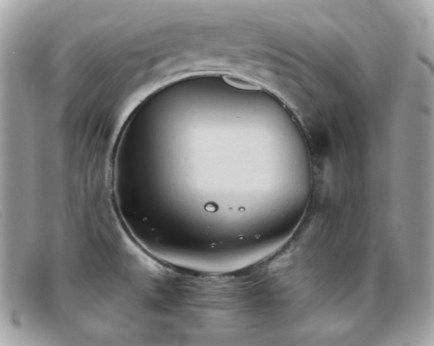 X0000095891527200801111144