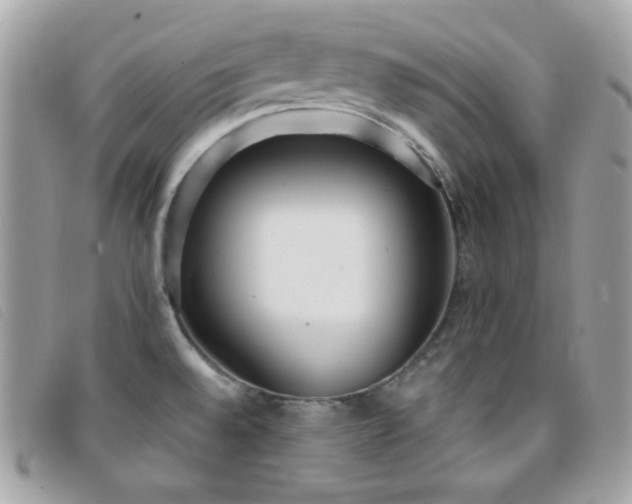 X0000095891528200801111144