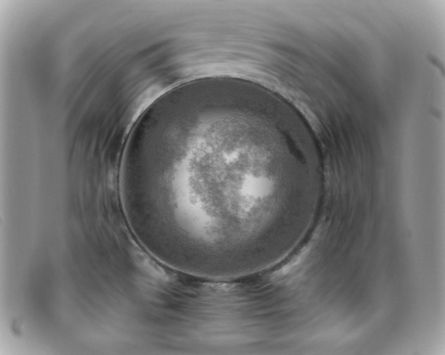 X0000095891529200801111144
