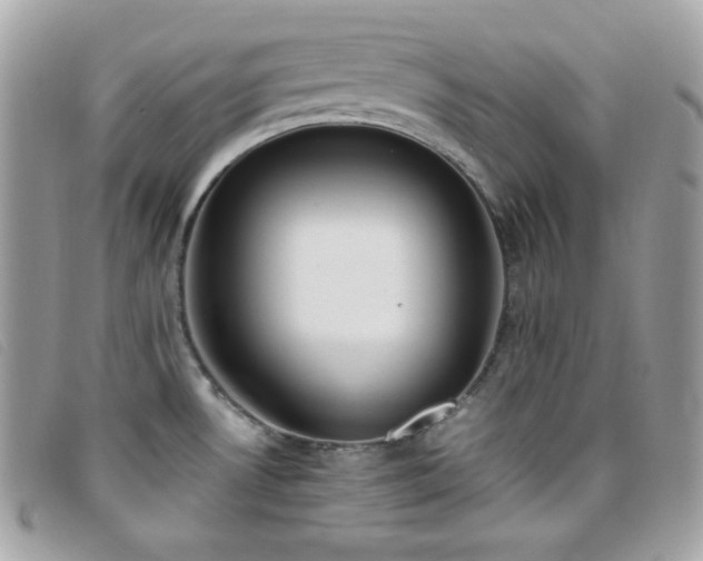 X0000095891530200801111144