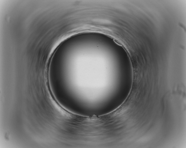 X0000095891531200801111144