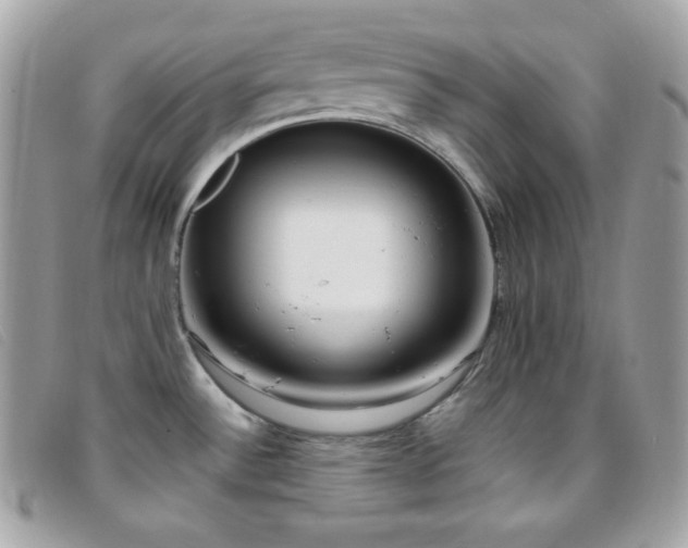 X0000095891532200801111144