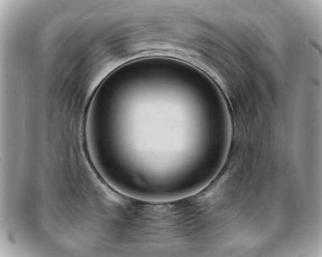 X0000095891533200801111144
