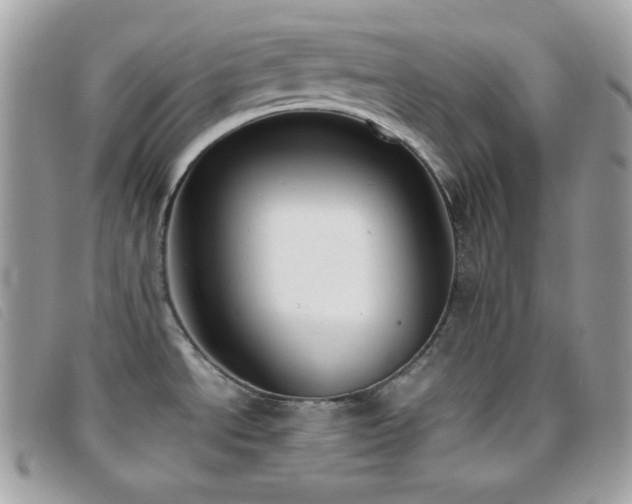 X0000095891534200801111144