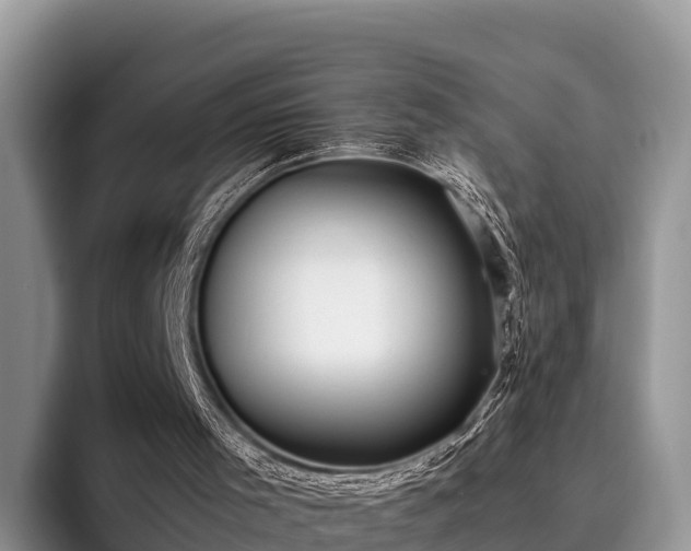 X0000095890001200801181235