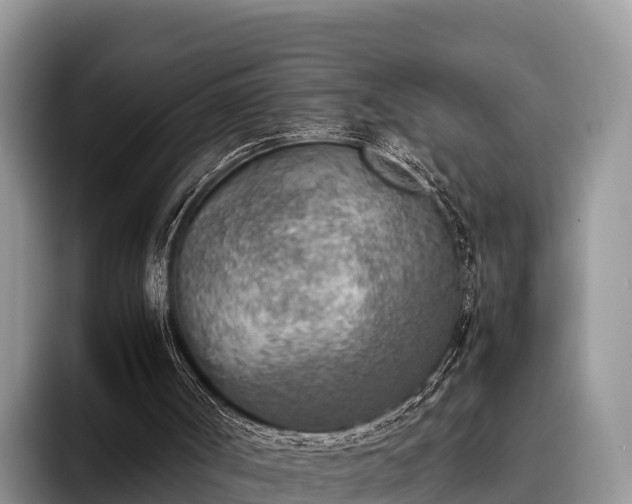 X0000095890002200801181235