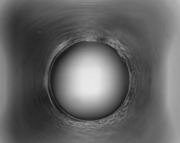X0000095890003200801181235
