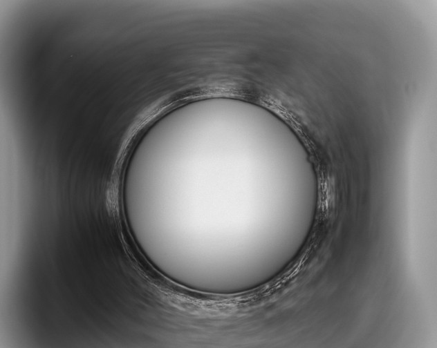 X0000095890004200801181235