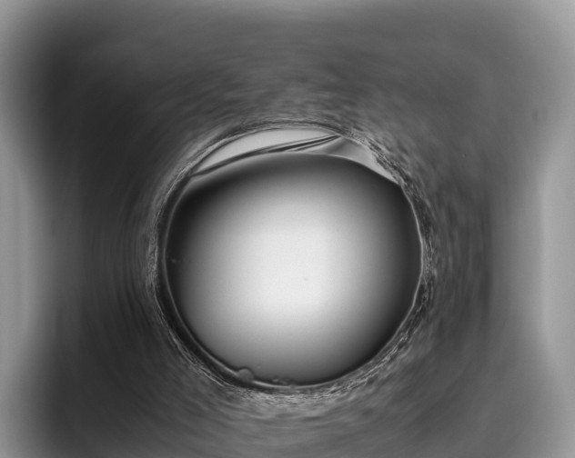 X0000095890005200801181235