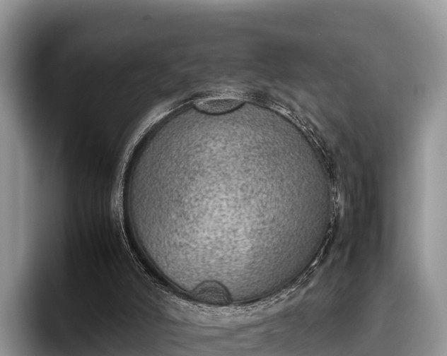X0000095890006200801181235