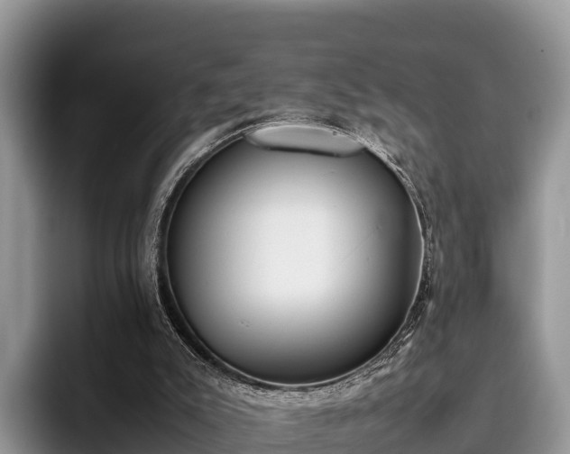X0000095890007200801181235