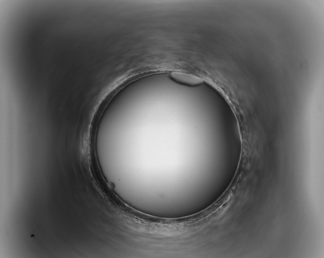 X0000095890008200801181235