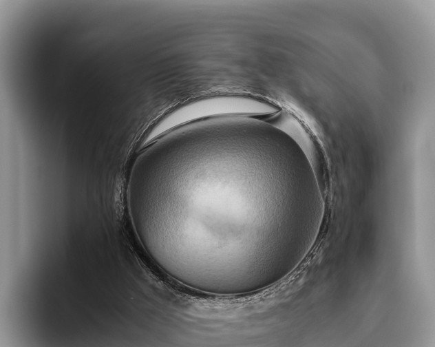 X0000095890009200801181235