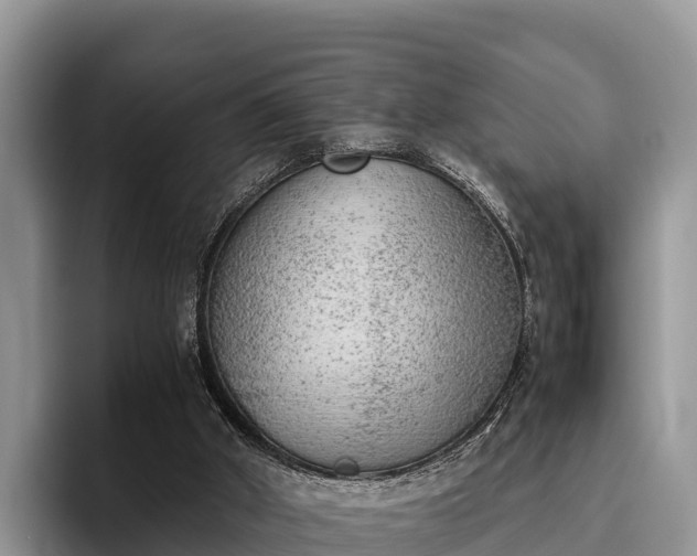 X0000095890010200801181235