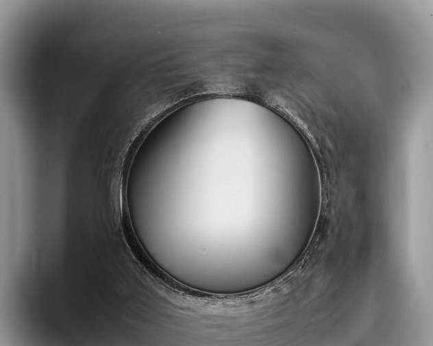 X0000095890011200801181235