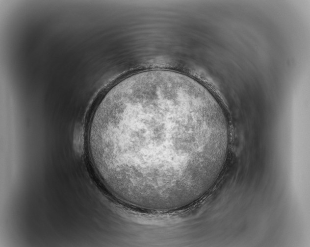 X0000095890012200801181235