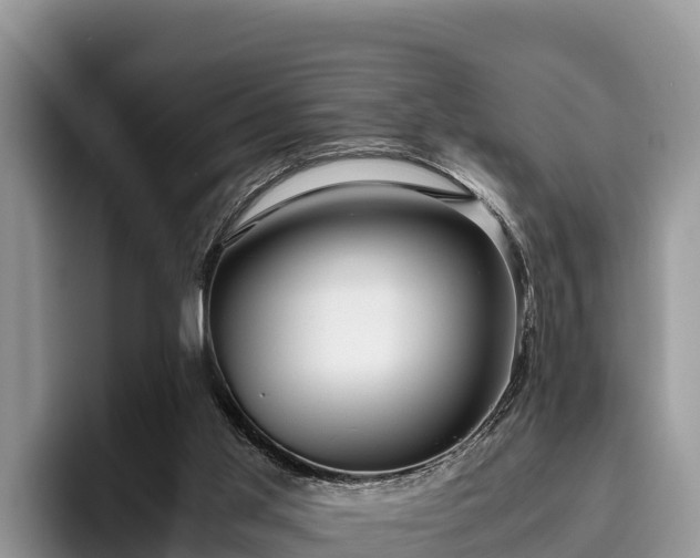 X0000095890013200801181235