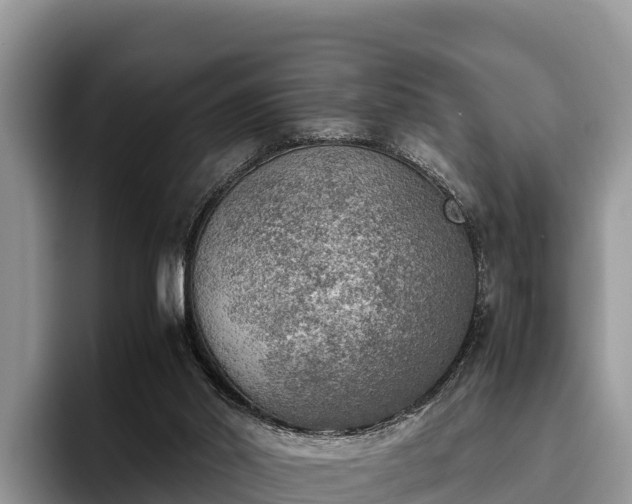 X0000095890014200801181235