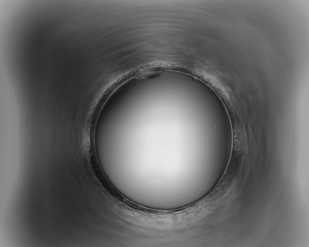 X0000095890015200801181235