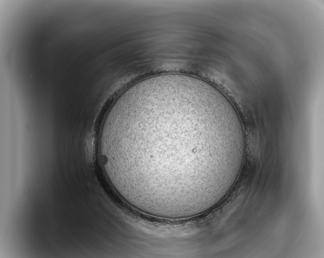 X0000095890016200801181235