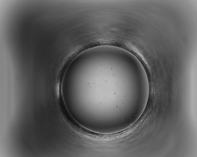 X0000095890019200801181235